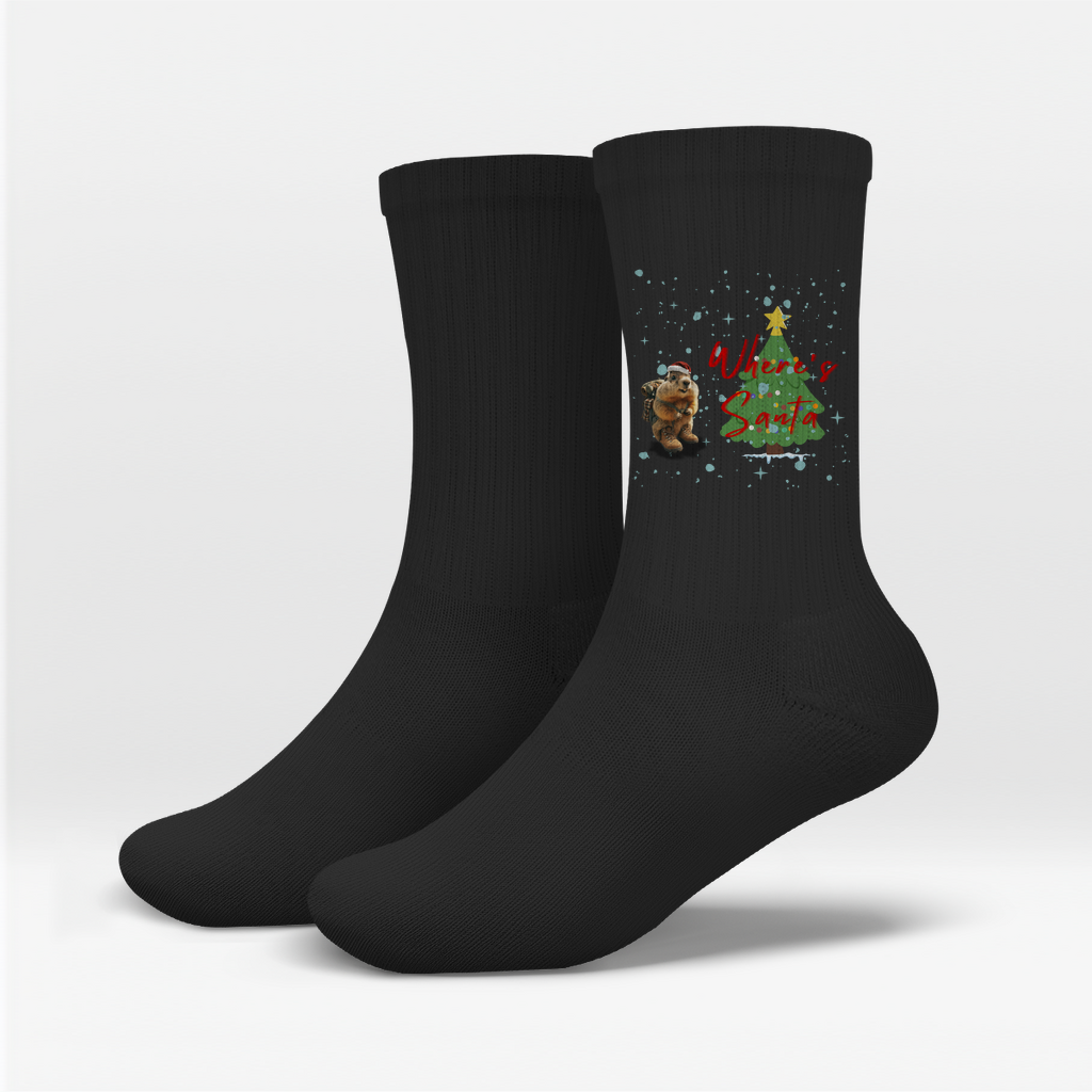 Socken Where's Santa