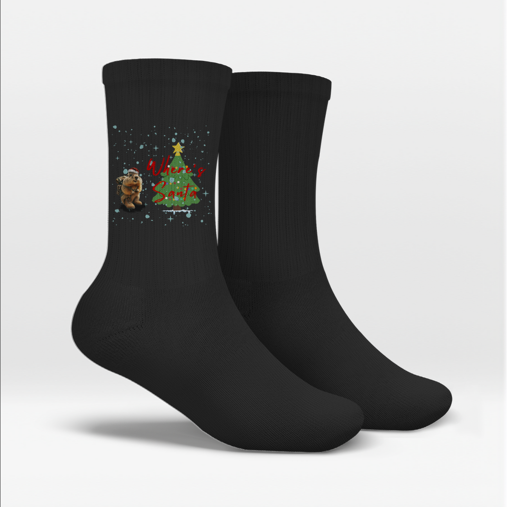 Socken Where's Santa